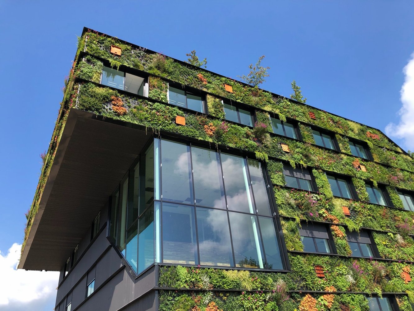The buzz word for 2022: Sustainability