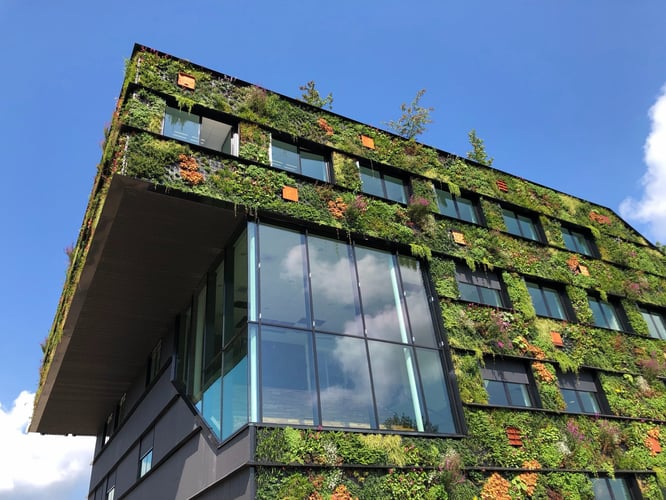 The buzz word for 2022: Sustainability