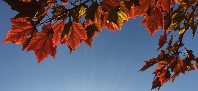 Don’t Miss October’s Coffee Morning in Abingdon